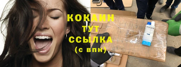 шишки Белоозёрский
