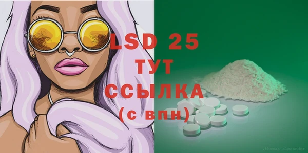 шишки Белоозёрский