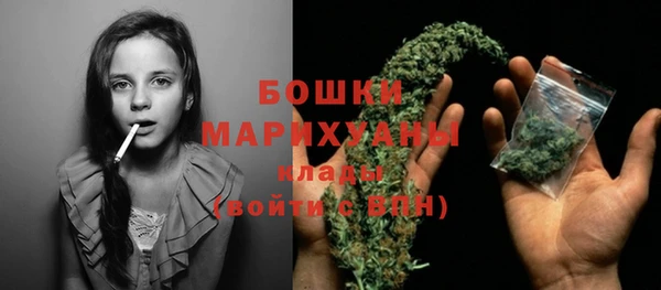 шишки Белоозёрский