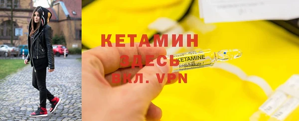 шишки Белоозёрский