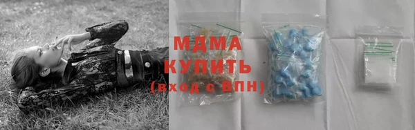 шишки Белоозёрский