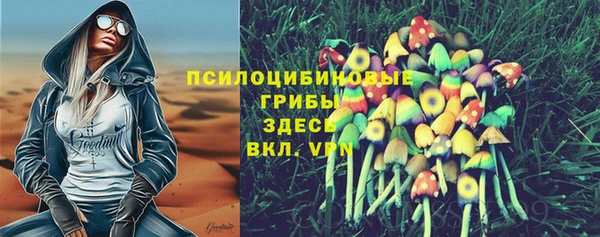 а пвп мука Белокуриха