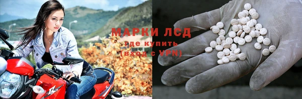 шишки Белоозёрский