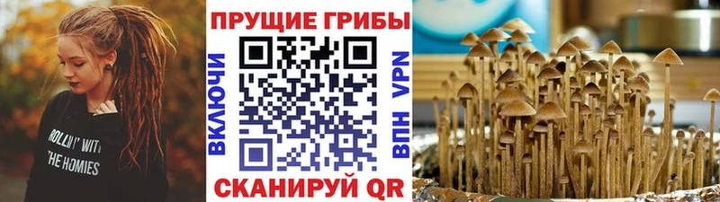 Галлюциногенные грибы Magic Shrooms наркота Волгореченск